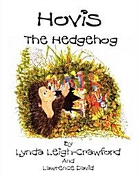 Hovis the Hedgehog: Bonfire Night (Paperback)