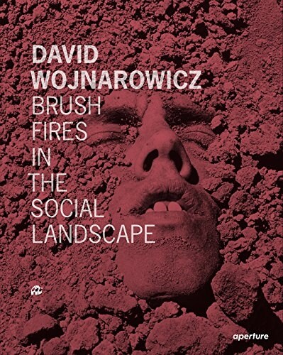 David Wojnarowicz: Brush Fires in the Social Landscape: Twentieth Anniversary Edition (Hardcover, Revised)