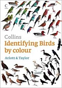 Identifying Birds by Colour (Paperback)