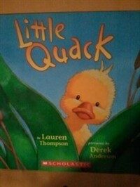 Little Quack (Paperback)