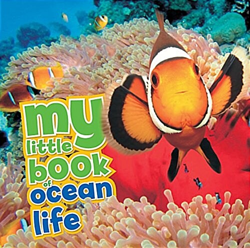My Little Book of Ocean Life (Hardcover)