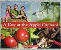 A Day at the Apple Orchard (Paperback)