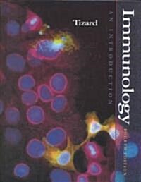 [중고] Immunology: An Introduction (Hardcover, 4, Revised)