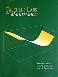Calculus Labs Using Mathematica (Paperback)
