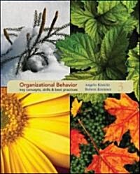 Organizational Behavior (Paperback, 3rd)