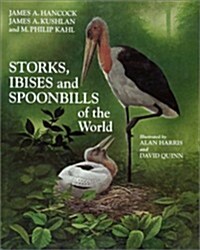 Storks, Ibises and Spoonbills of the World (Hardcover)