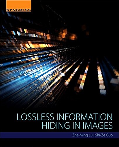 Lossless Information Hiding in Images (Paperback, UK)