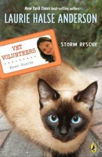Storm Rescue (Paperback, Reprint)