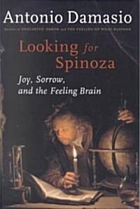 Looking for Spinoza (Hardcover)