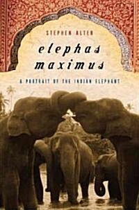 Elephas Maximus (Hardcover)