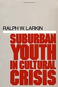 Suburban Youth in Cultural Crisis (Paperback)