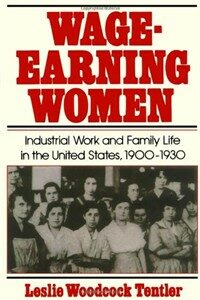 Wage-earning women : industrial work and family life in the United States, 1900-1930