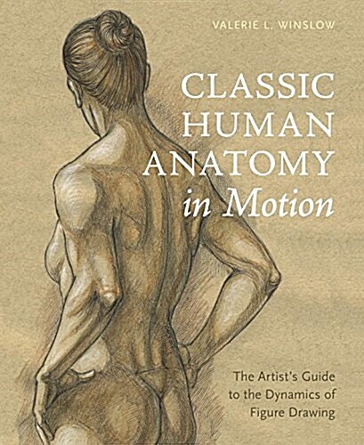Classic Human Anatomy in Motion: The Artists Guide to the Dynamics of Figure Drawing (Hardcover)
