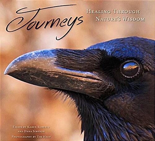 Journeys: Healing Through Natures Wisdom (Hardcover)