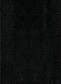 Biblia de Estudio del Diario Vivir-Ntv (Bonded Leather)