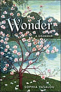 Wonder: A Grammar (Hardcover)