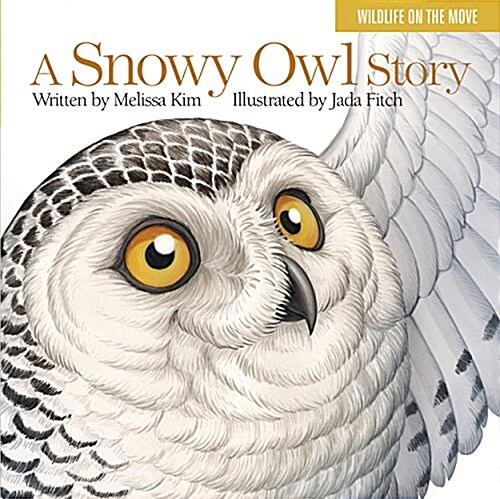 A Snowy Owl Story (Board Books)