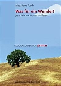 Was Fur Ein Wunder!: Jesus Heilt Mit Worten Und Taten (Paperback)