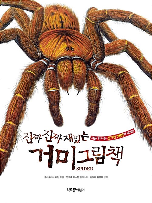 [중고] 진짜 진짜 재밌는 거미 그림책
