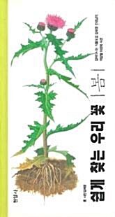 쉽게 찾는 우리꽃. 2 : 여름 표지이미지