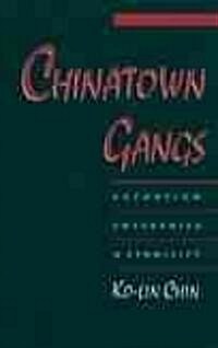 Chinatown Gangs: Extortion, Enterprise, and Ethnicity (Paperback, Revised and REV)