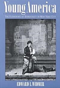 Young America: The Flowering of Democracy in New York City (Paperback, Revised)