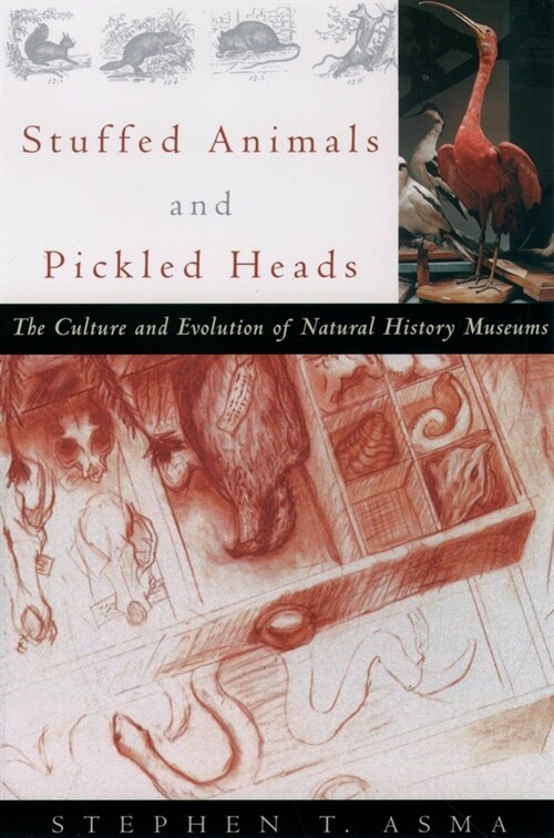 Stuffed Animals and Pickled Heads : The Culture of Natural History Museums (Paperback)