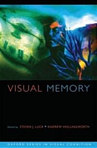 Visual Memory (Hardcover)