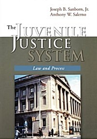 The Juvenile Justice System: Law and Process (Paperback)