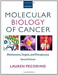 [중고] Molecular Biology of Cancer (Paperback, 2nd)