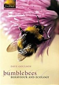 Bumblebees (Paperback)