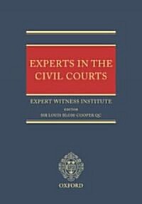 Experts in the Civil Courts (Hardcover)