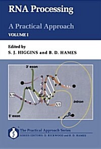 RNA Processing: A Practical Approach: Volume I (Paperback)