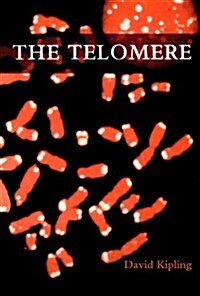 The Telomere (Paperback)