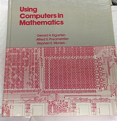 Using Computers in Mathematics (Hardcover)