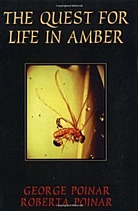 Quest for Life in Amber (Paperback)