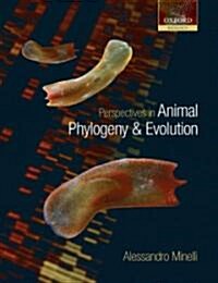 Perspectives in Animal Phylogeny and Evolution (Hardcover, New)