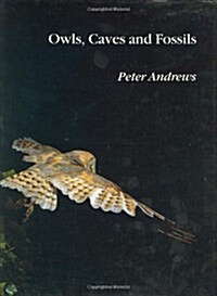 Owls, Caves and Fossils: Predation, Preservation and Accumulation of Small Mammal Bones in Caves, with an Analysis of the Pleistocene Cave Faun (Hardcover)