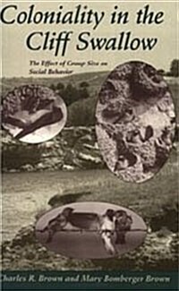 Coloniality in the Cliff Swallow: The Effect of Group Size on Social Behavior (Hardcover)