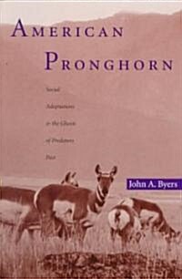 American Pronghorn: Social Adaptations and the Ghosts of Predators Past (Paperback)