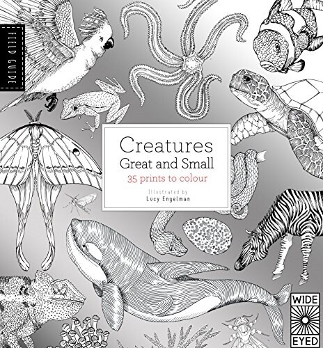 Field Guide: Creatures Great and Small (Paperback, 영국판)