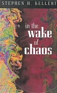 [중고] In the Wake of Chaos: Unpredictable Order in Dynamical Systems (Paperback, Revised)