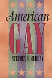 American Gay (Paperback)