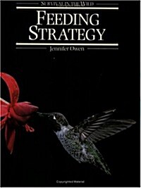 Feeding Strategy (Paperback)