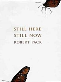 Still Here, Still Now (Hardcover)