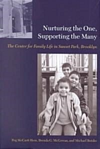 Nurturing the One, Supporting the Many: The Center for Family Life in Sunset Park, Brooklyn (Paperback)