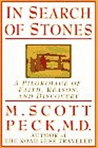 In Search of Stones: A Pilgrimage of Faith, Reason, and Discovery (Hardcover, 1st)