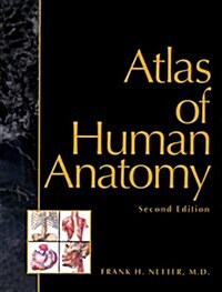 Atlas of Human Anatomy, 2nd Edition (Paperback, 2nd)
