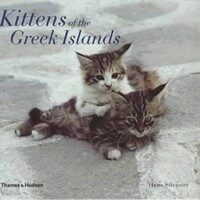 Kittens of the Greek Islands
