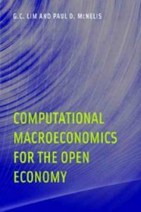 Computational macroeconomics for the open economy
